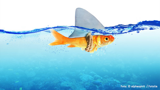 170925 medienkonferenz