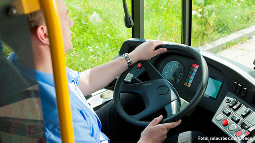 Busfahrer Busfahrer