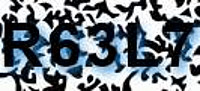 grafischer Sicherheitscode