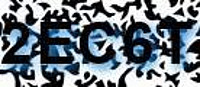 grafischer Sicherheitscode