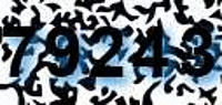 grafischer Sicherheitscode