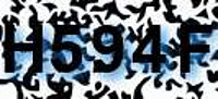 grafischer Sicherheitscode