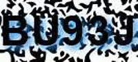 grafischer Sicherheitscode