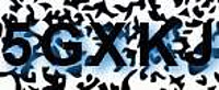 grafischer Sicherheitscode