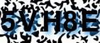 grafischer Sicherheitscode