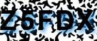 grafischer Sicherheitscode