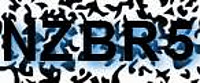 grafischer Sicherheitscode