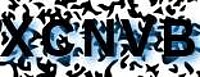 grafischer Sicherheitscode