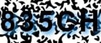 grafischer Sicherheitscode