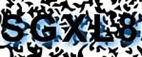 grafischer Sicherheitscode