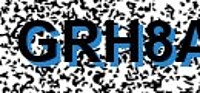 grafischer Sicherheitscode
