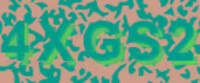 grafischer Sicherheitscode