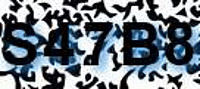grafischer Sicherheitscode