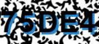 grafischer Sicherheitscode