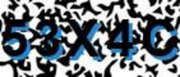 grafischer Sicherheitscode