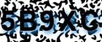 grafischer Sicherheitscode