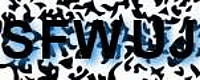 grafischer Sicherheitscode