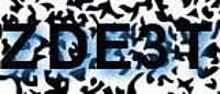 grafischer Sicherheitscode