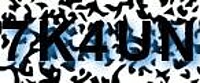 grafischer Sicherheitscode