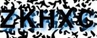grafischer Sicherheitscode