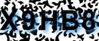 grafischer Sicherheitscode