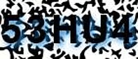 grafischer Sicherheitscode