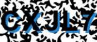 grafischer Sicherheitscode
