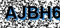 grafischer Sicherheitscode
