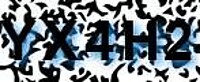 grafischer Sicherheitscode