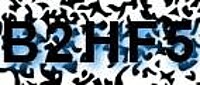 grafischer Sicherheitscode