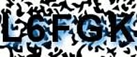 grafischer Sicherheitscode