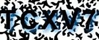 grafischer Sicherheitscode