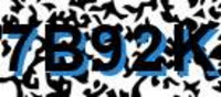 grafischer Sicherheitscode