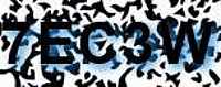 grafischer Sicherheitscode