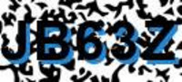 grafischer Sicherheitscode