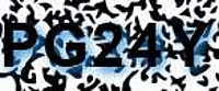 grafischer Sicherheitscode