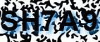 grafischer Sicherheitscode