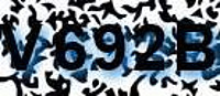 grafischer Sicherheitscode
