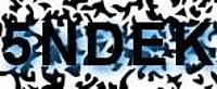 grafischer Sicherheitscode
