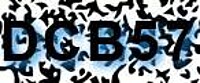 grafischer Sicherheitscode