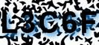 grafischer Sicherheitscode