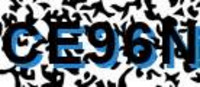 grafischer Sicherheitscode