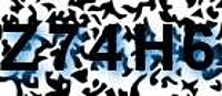 grafischer Sicherheitscode
