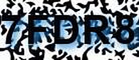 grafischer Sicherheitscode