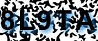 grafischer Sicherheitscode