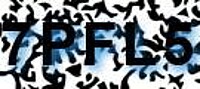 grafischer Sicherheitscode