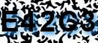 grafischer Sicherheitscode