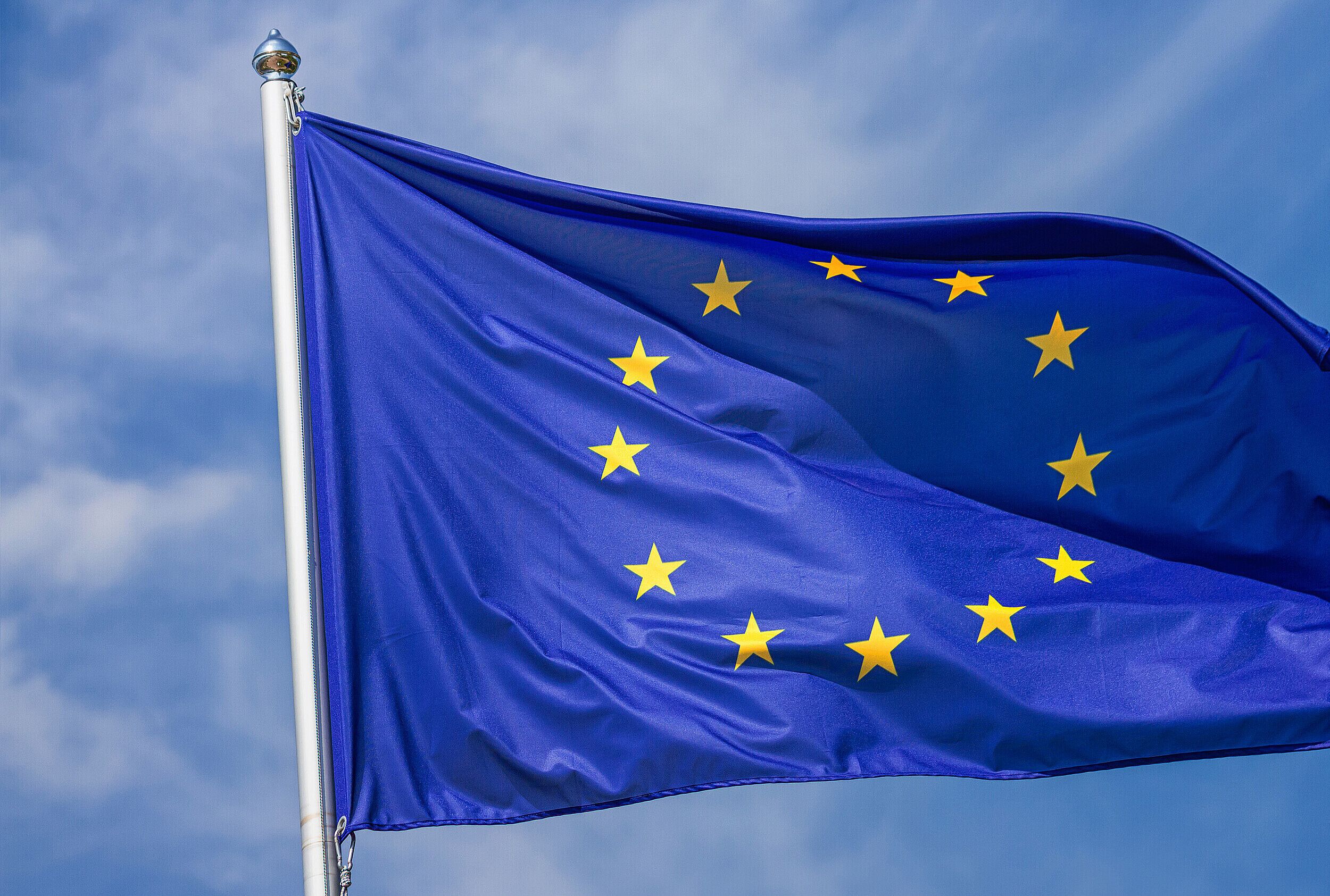 Geyer: Europa braucht handlungsfähige Mitgliedstaaten
