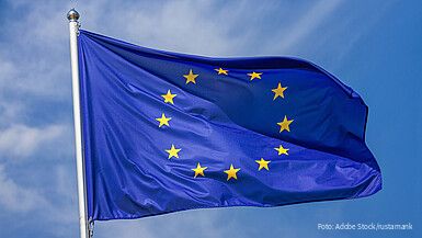 Geyer: Europa braucht handlungsfähige Mitgliedstaaten
