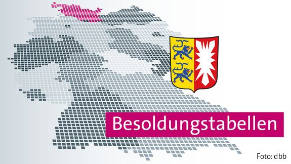 Das Banner zeigt eine Deutschlandkarte, das Wappen von Schleswig-Holstein und die Beschriftung "Besoldungstabellen".